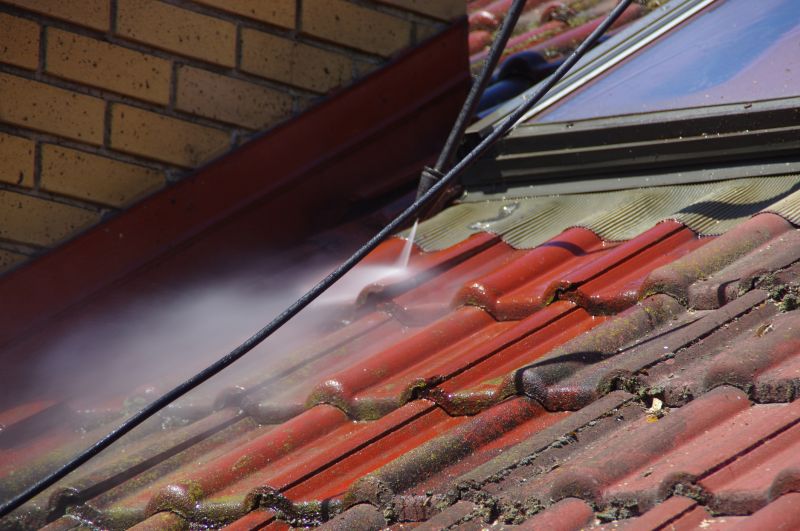 Roof Moss Removal Products and Supplies