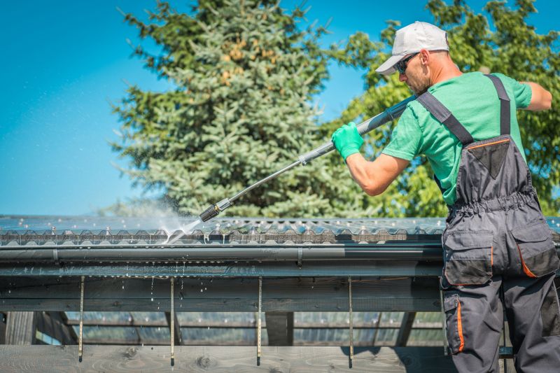 Professional Gutter Cleaning Service