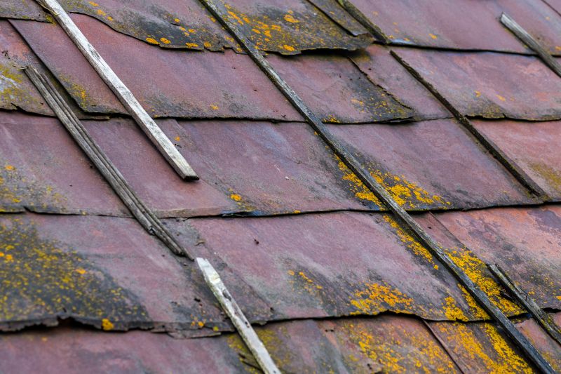 How Roof Cleaning Helps Prevent Mold, Algae, And Moss Growth