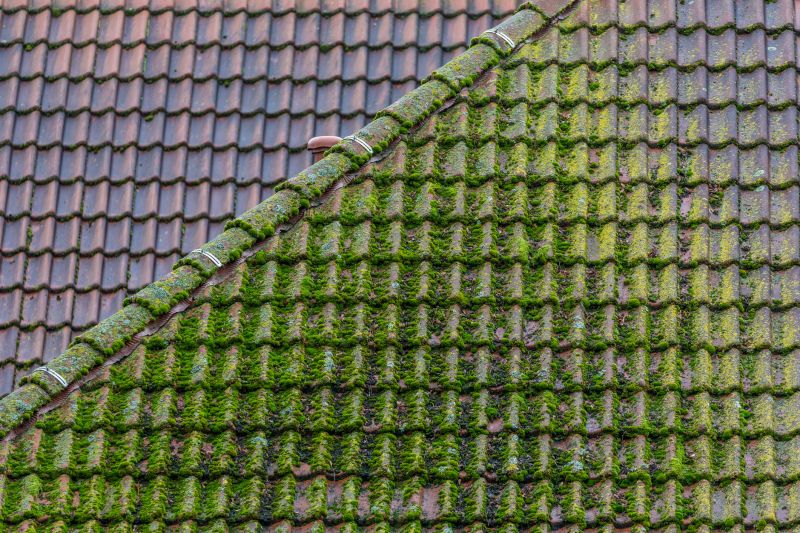Products For Roof Moss Removals in use