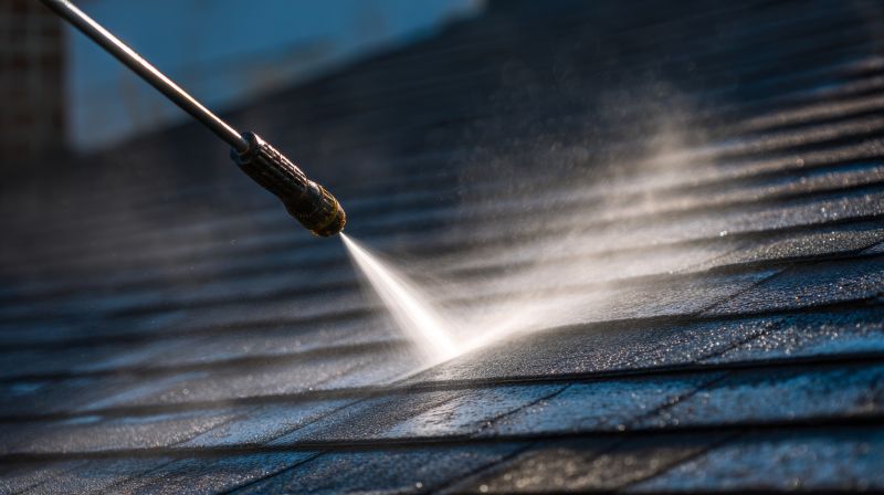 Roof Cleaning For Asphalt, Tile, And Metal Roofs