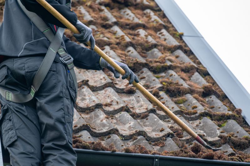 Professional Roof Moss Removal Process