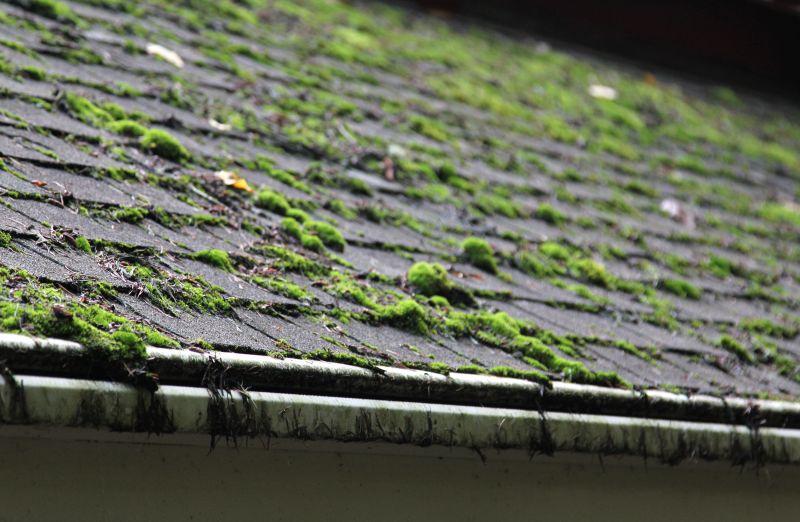 Roof Moss Removal