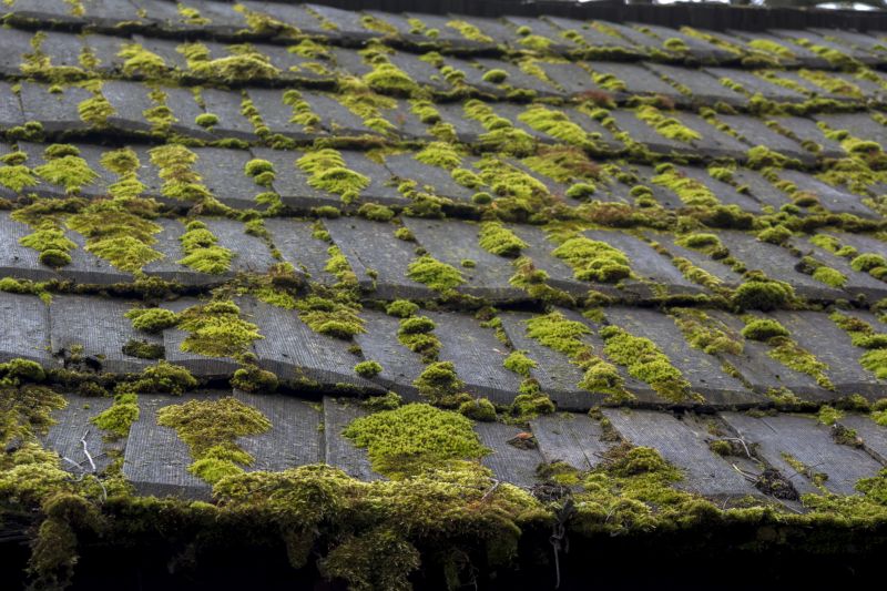 Extend Roof Life