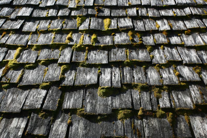 Prevent Roof Damage