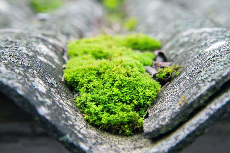 Improve Curb Appeal